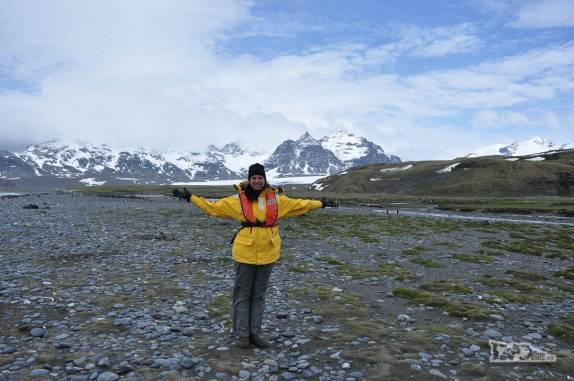 Bem vindos a Salisbury Plain, na Geórgia do Sul!